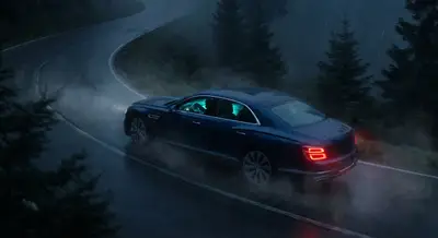 Subtle Stops, Strong Safeguards: Elevated Brake Safety for the Attentive Driver