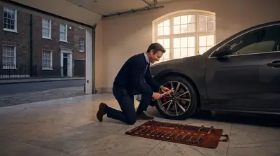 The Cultivated Brake: Maintenance Habits of the Meticulous Driver